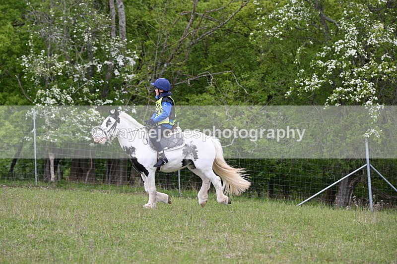 WJ6_1950 - Group 8 A&B Cameras