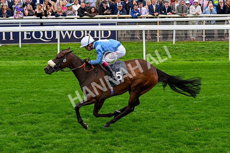 200826-Race 7-Machadadorp-0839 - Race 7 17.20pm British EBF Fillies' Handicap