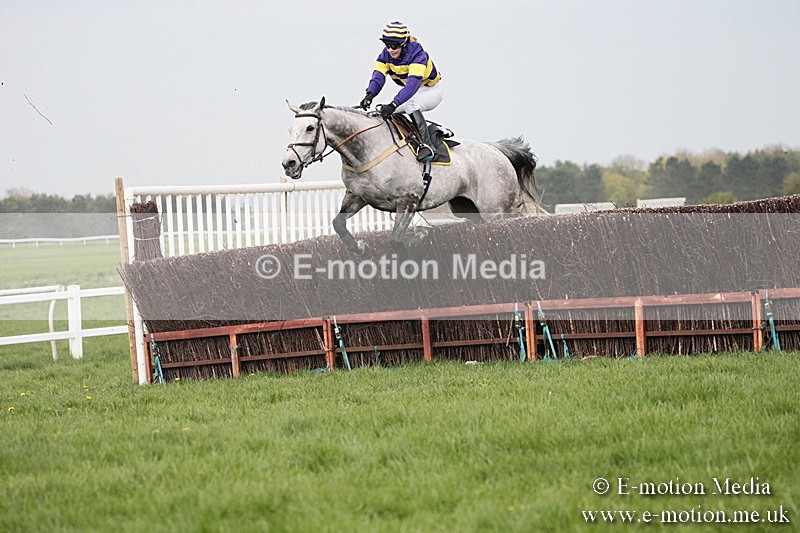 PtP 210418 285 - South & West Wilts Point-to-Point Larkhill 21/04/18