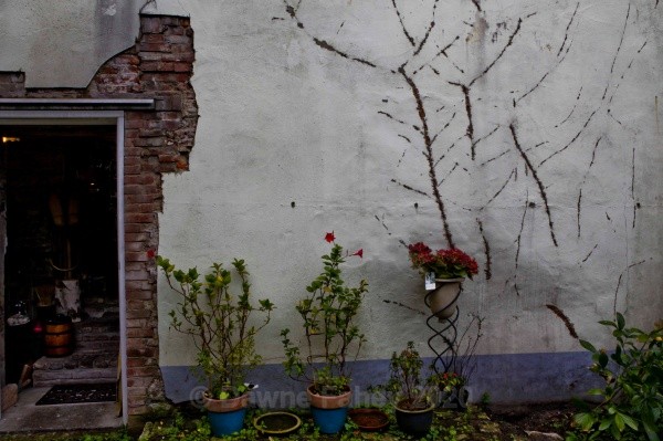  - Dordrecht - a closer look