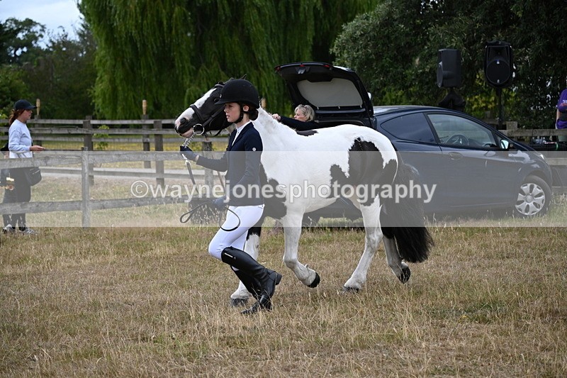 WJ6_8087 - Class 10 Coloured in Hand