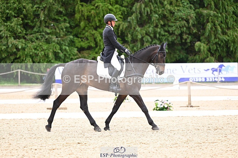 240524-093614-07912 - 507-DASSETT_ROCK_STAR-Tom_D_Crisp