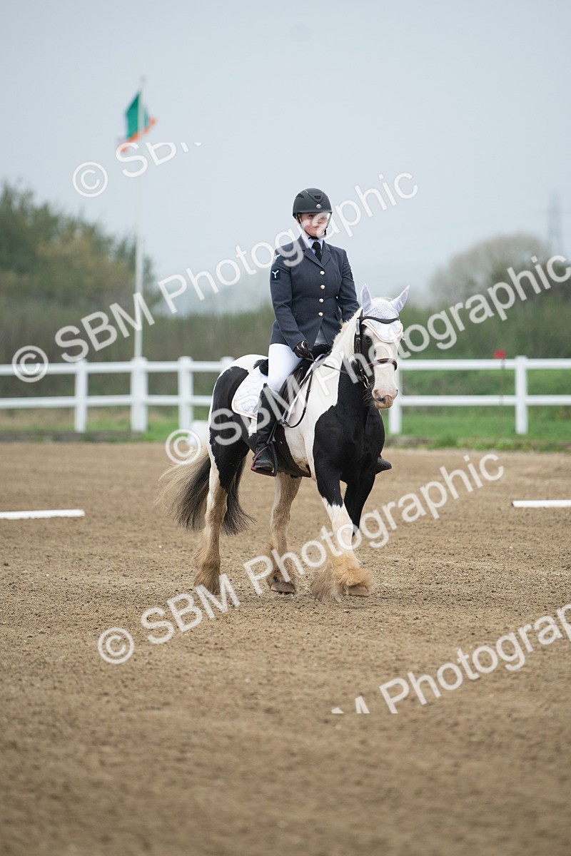SBM_003356 - Introductory Test 3