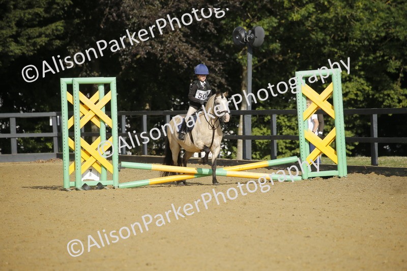 20250622-1151 - 40cm