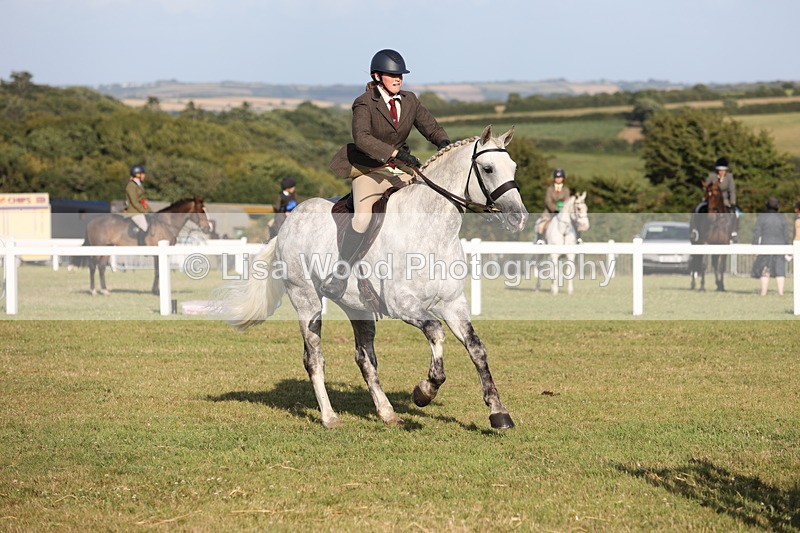 JPP_3421 - Class 22: Working Hunter 90cm