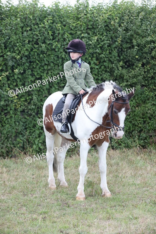 20250831-4290 - Class 20 - Ridden Coloured