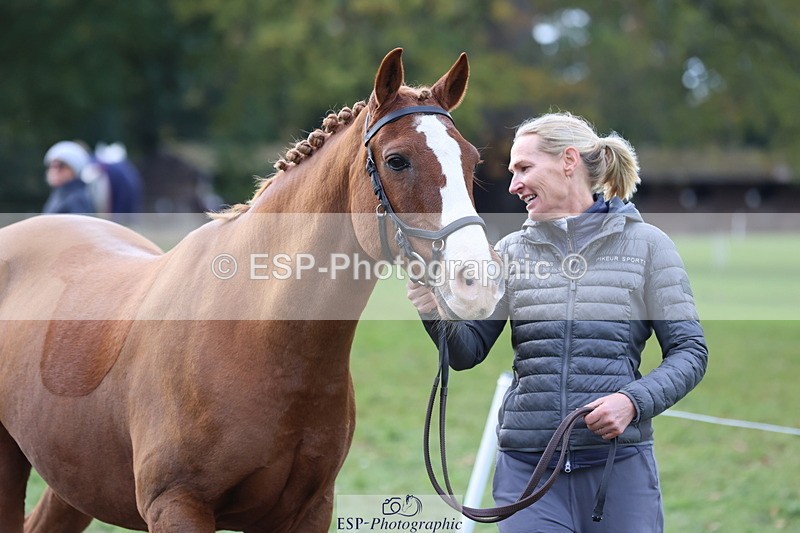 251026A-122205-26046 - H-654-Philippa.Skelton