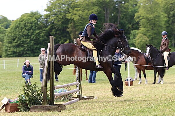 IMG_3263 - Working Hunter