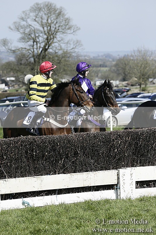 PtP 260317 23 - Mendip Farmers Point-to-Point Ston Easton 26/03/17