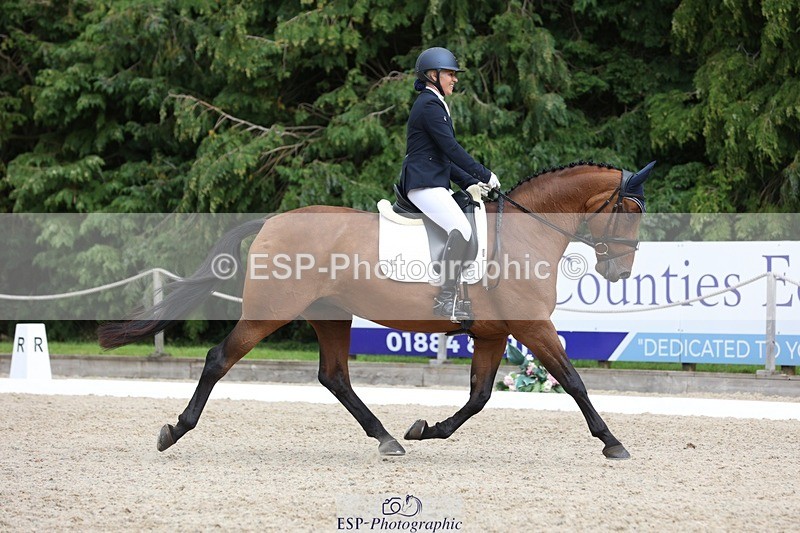 230812-150210-05032 - Cls 5 Novice Bronze 15.00 to End