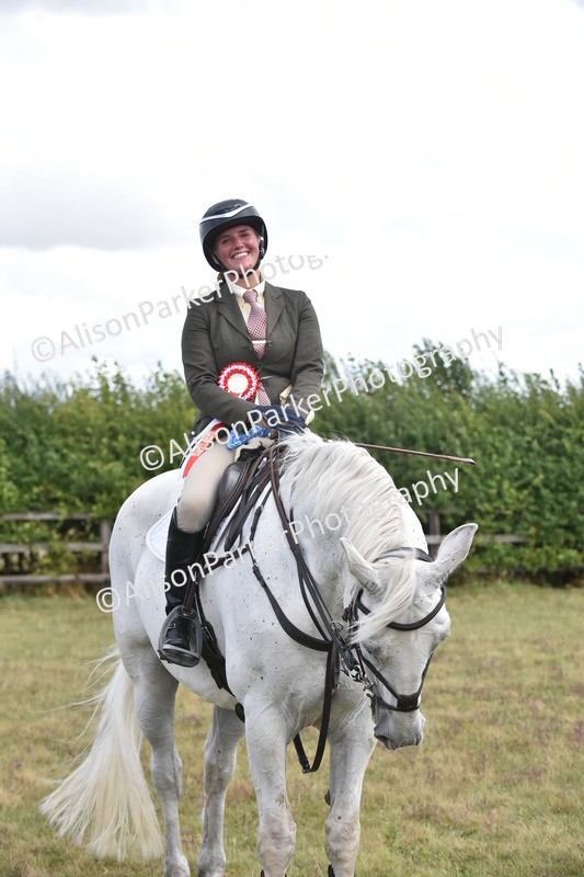 20250831-4136 - Class 13 - Working Hunter Horse or Pony