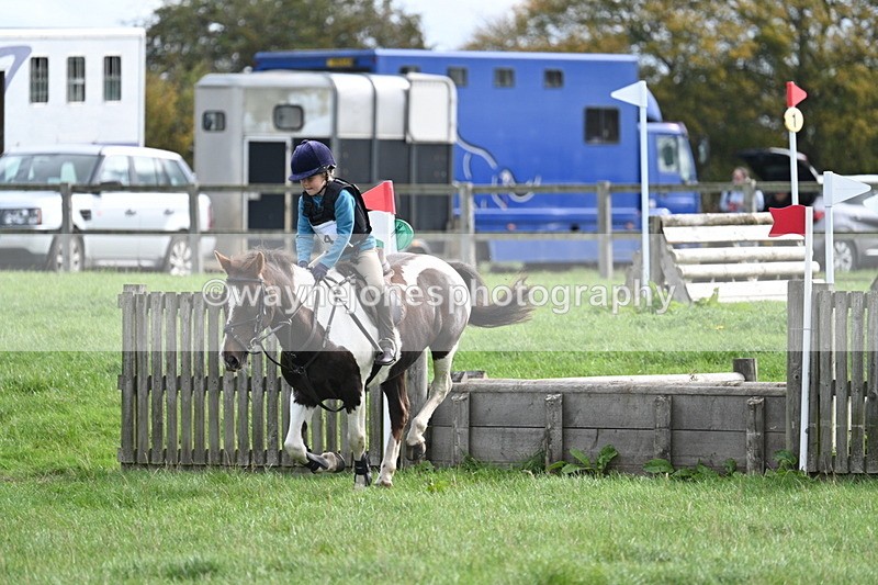 WJ7_8447 - 60cm Pairs