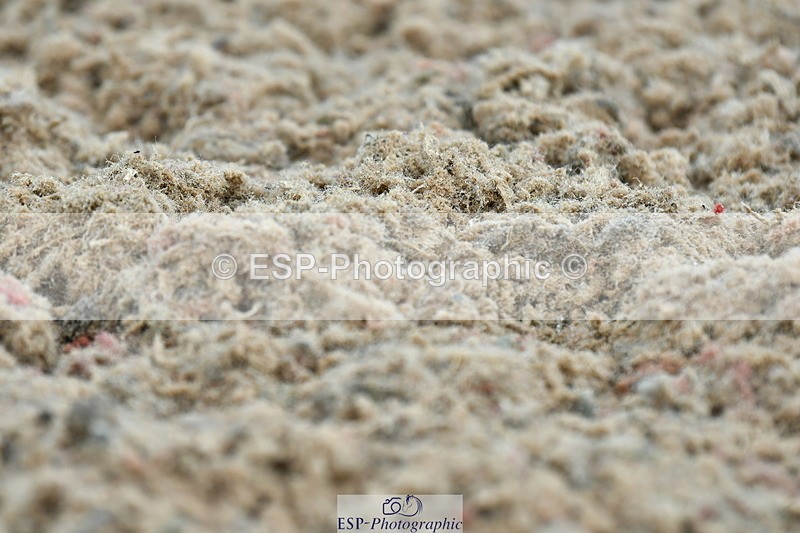 230630A-140635-02489 - Cls 8 Elementary 57