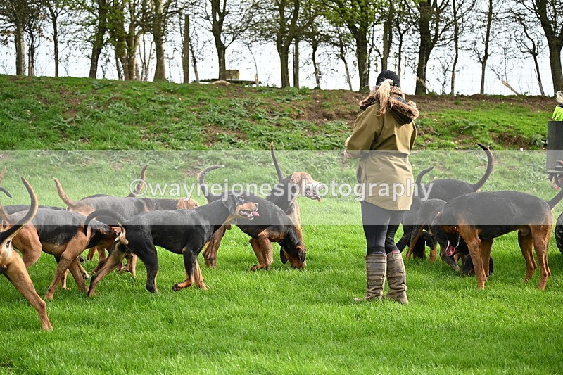 WJ6_9196 - Line Three