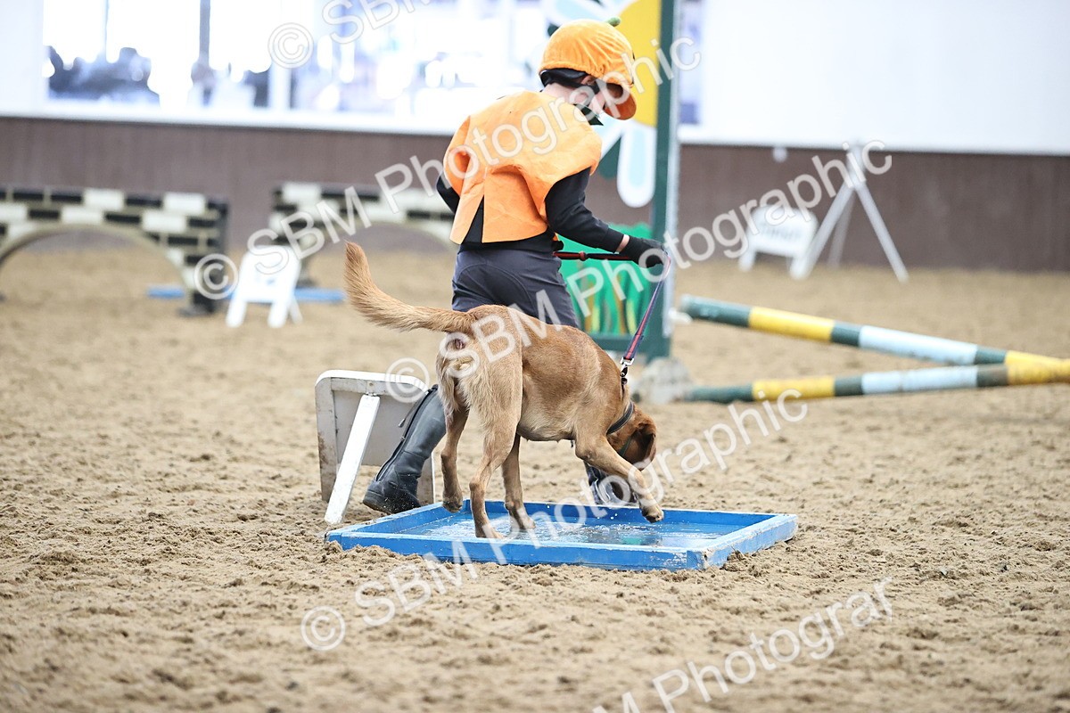 SBM_001369 - Class 3 - Horse & Hound 60cm