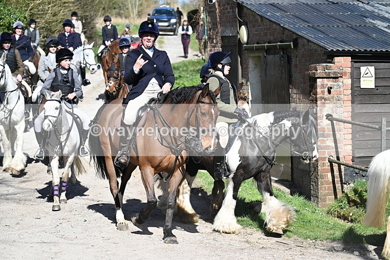 WJ7_9738 - Home for hunt tea !