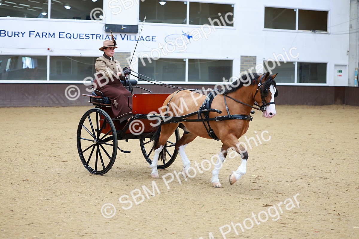 SBM_000135 - Class 3 - Alison Thomas Memorial Lady Whip