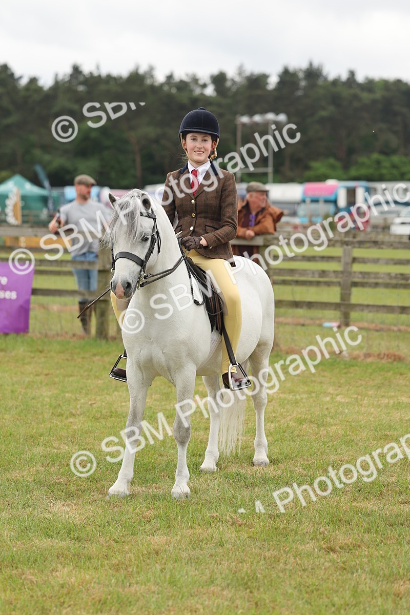 SBM_07126 - Class 76-77 - Ridden M&M Welsh Ponies