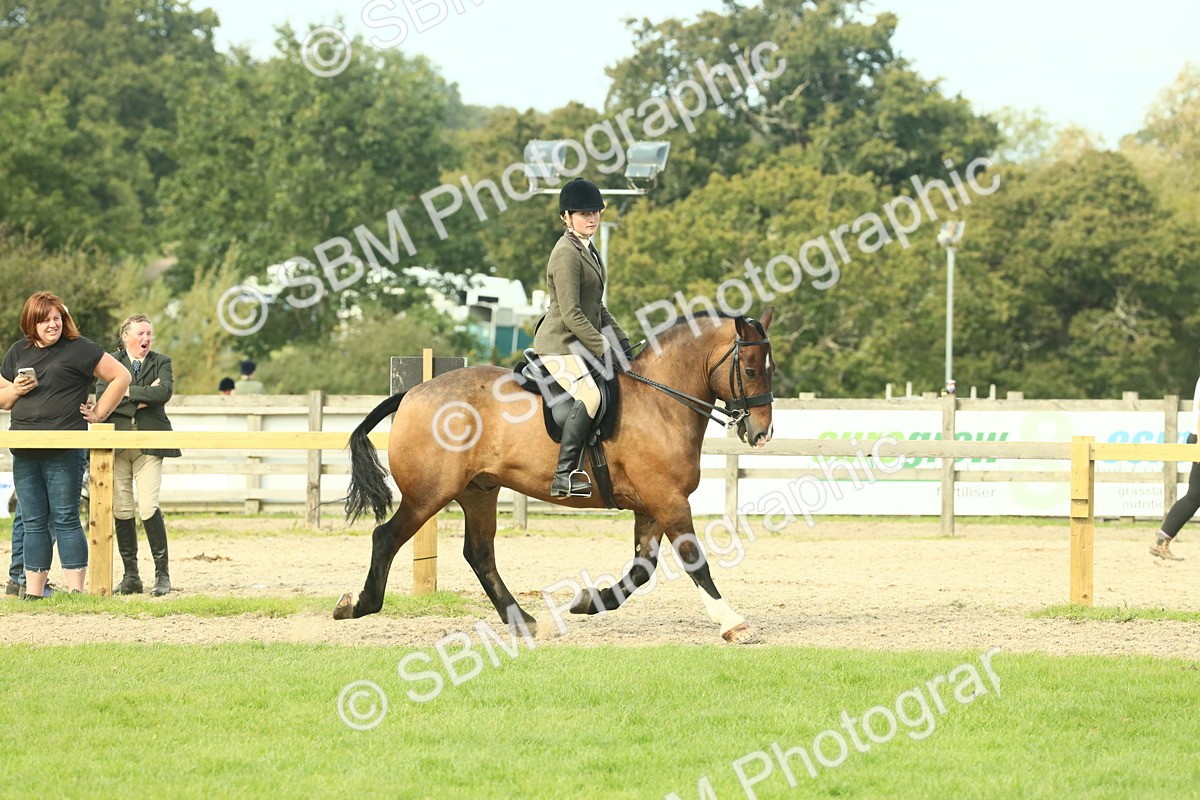 SBM_68260 - S58 - Mini Show Cob Ridden