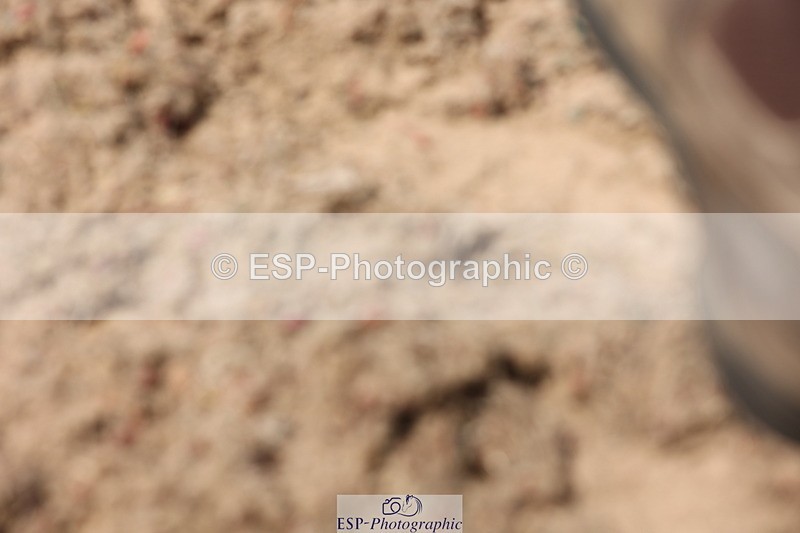 240621A-144539-04573 - Cls 20 BD Music Inter I