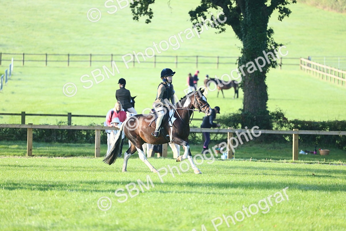 SBM_32237 - S28 - Nursery Stakes Working Hunter Pony