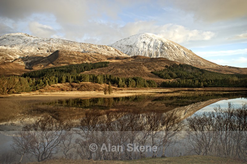 DSC03980 - Skye