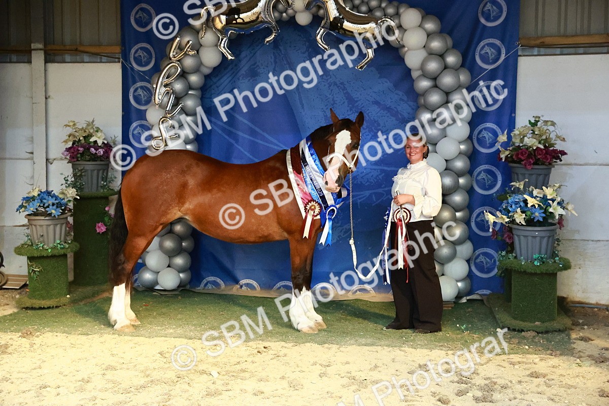 SBM_17997 - M&M Supreme Final Champ