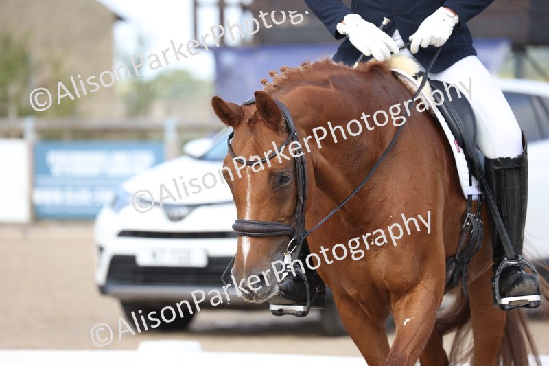 20250820-1528 - Class 20 - Medium 4