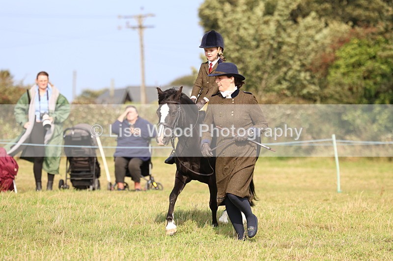 3E7A3724 - Class 2: Lead rein