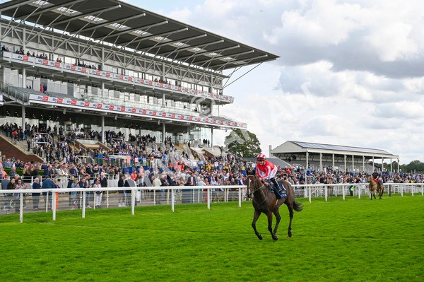 230824-Race 4-Bradsell-9047 - Race 4 3.35pm Coolmore Wootton Bassett Nunthorpe Stakes