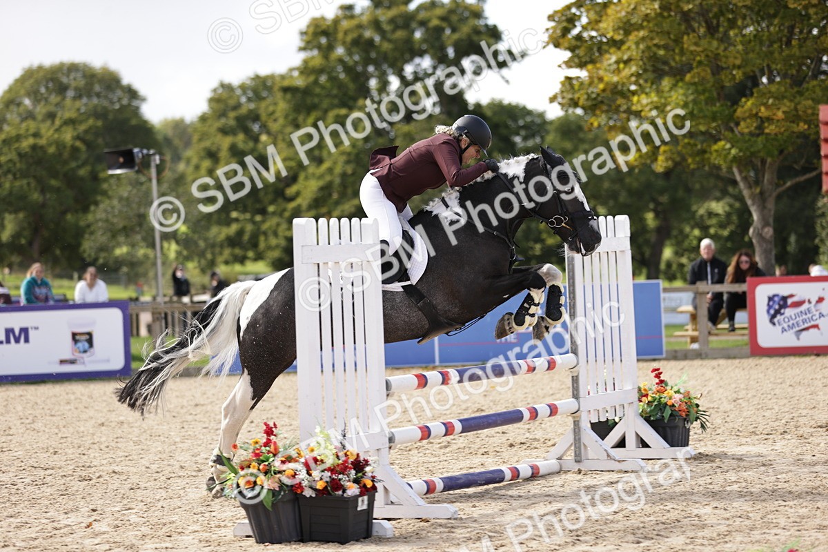 SBM_18551 - Supreme Championship