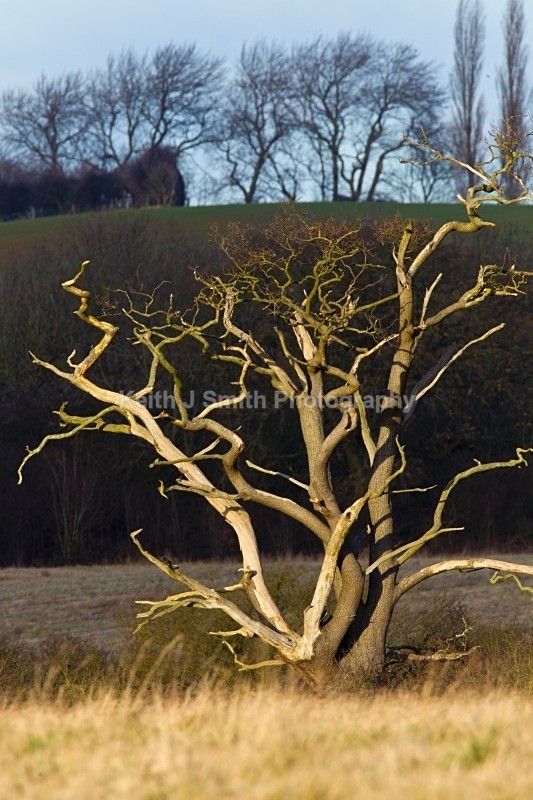 1KJS1342 - United Kindom