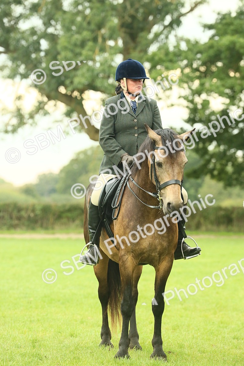 SBM_72187 - S60 - Mountain & Moorland Ridden Large Breeds