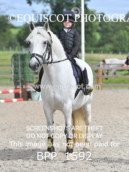 BPP_1592 - DERBY CLASS 3 - 40CM