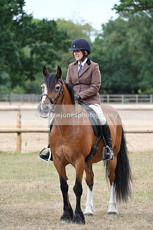 WJ7_0664 - Class 6 Ridden Mountain and Moorland