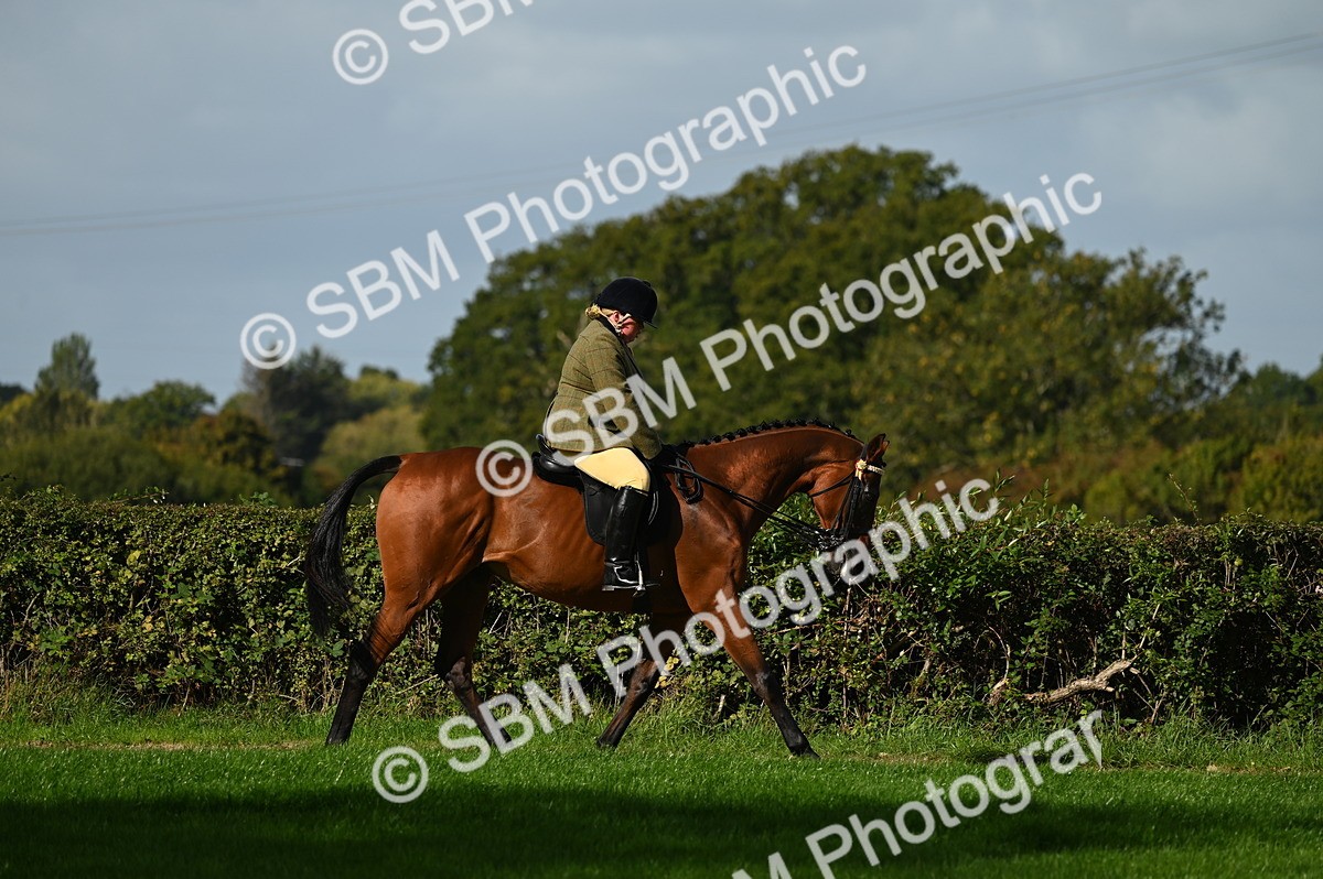 SBM_01332 - S2 - TSR Ridden Horse Showing