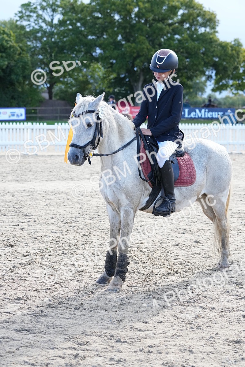 SBM_36407 - J5 - Junior Pony 50cm Championship