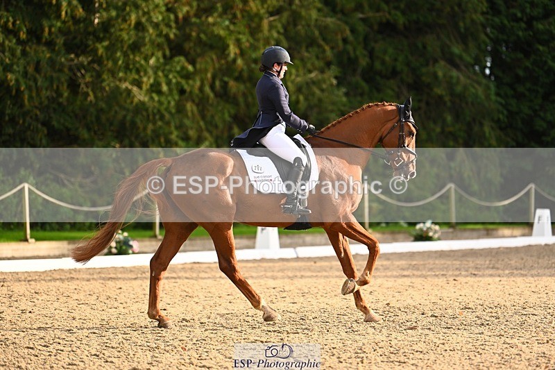 231021-161449-21071 - 264-BEST.ENDEAVOUR-Freddie.Taylor-DR