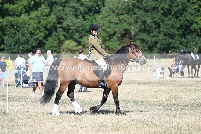 WJ7_3420 - Class 9 Mountain & Moorland Ridden