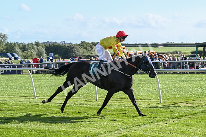 050825-Race 6-Happier-6300 - Race 6