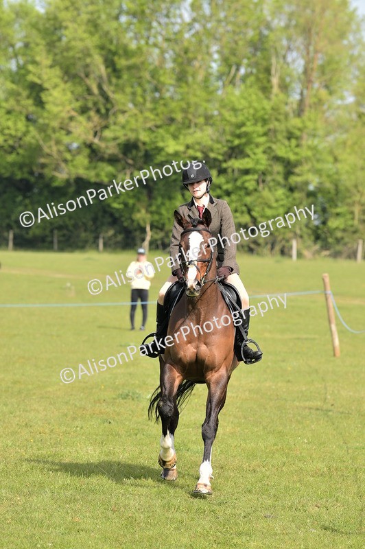 20260426-0940 - Class 18 - Novice Showing