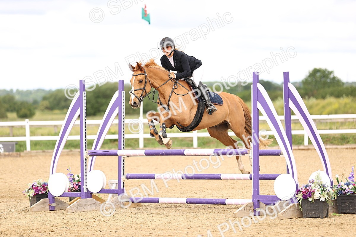 SBM_006385 - Class 16 - Senior British Novice - 90cm
