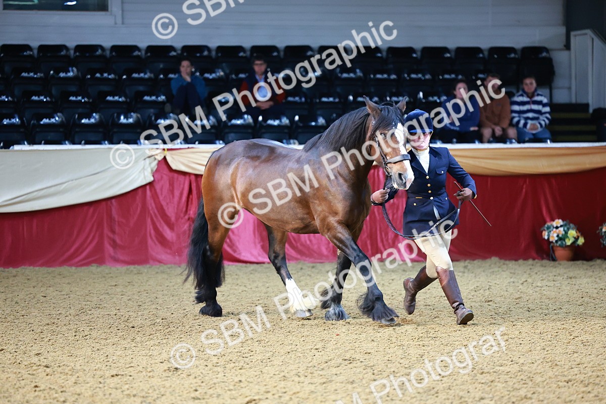 SBM_21772 - Class 901 - Supreme Final - IH  Diamond