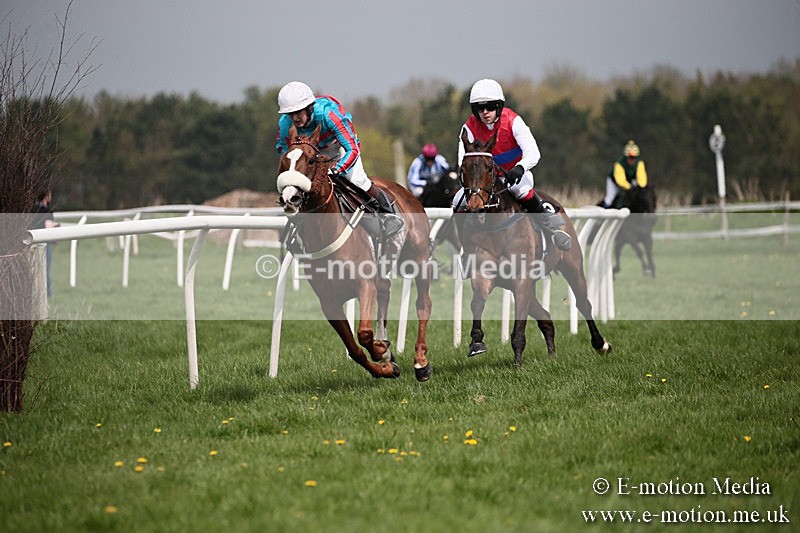 PtP 210418 12 - South & West Wilts Point-to-Point Larkhill 21/04/18