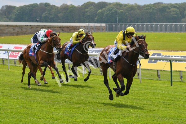 yr12052021r1-38 - Race 1 1.40pm Sky Bet Race to the Ebor Jorvik Stakes