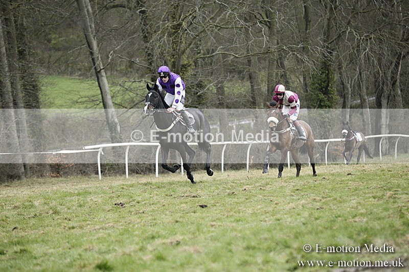 PtP 020418 -461 - Old Berks Point-to-Point Races Easter Monday 02/04/18