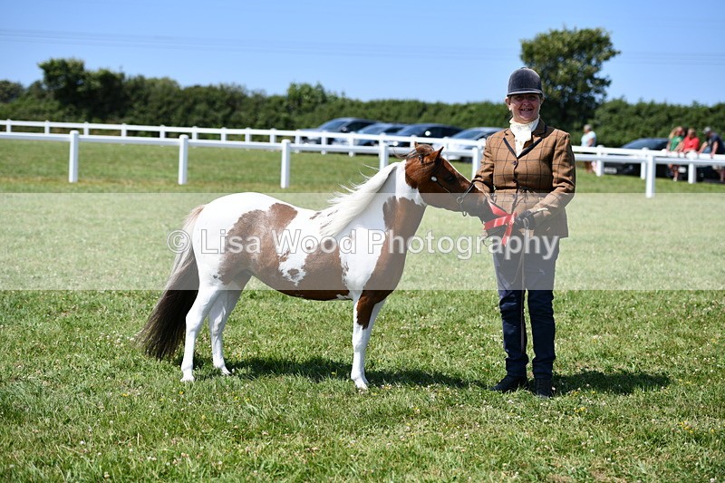 DSC_7785 - Class 64: Coloured Pony 4yrs & over