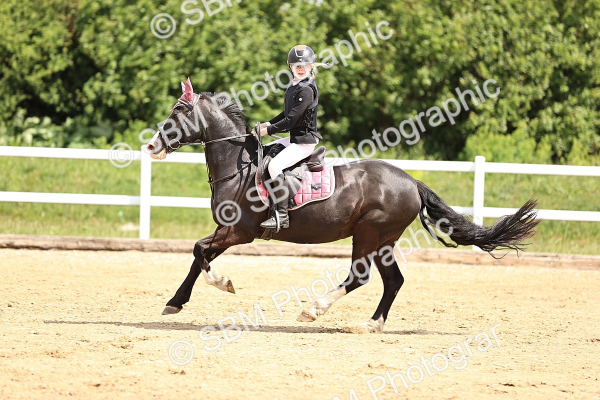 SBM_007581 - Class 2 - 80cm showjumping