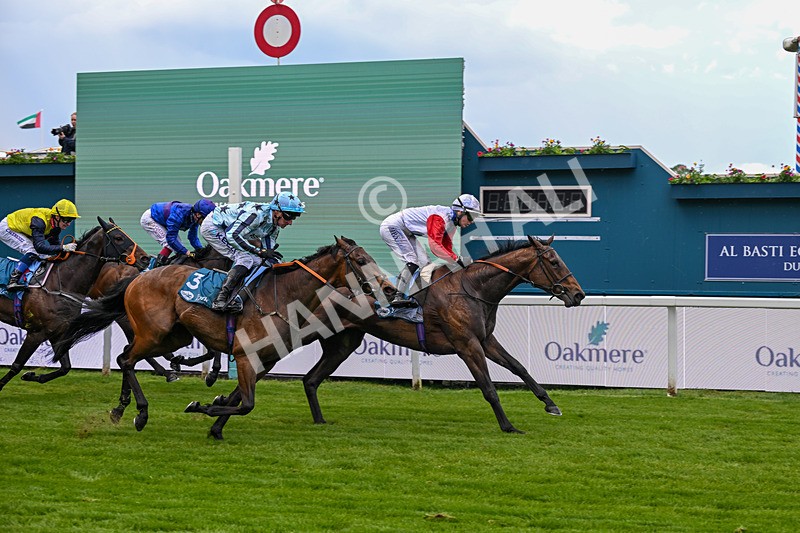 140526-Race 3-Maybe Not-4913 - Race 3 2.55pm Oakmere Homes Hambleton Handicap