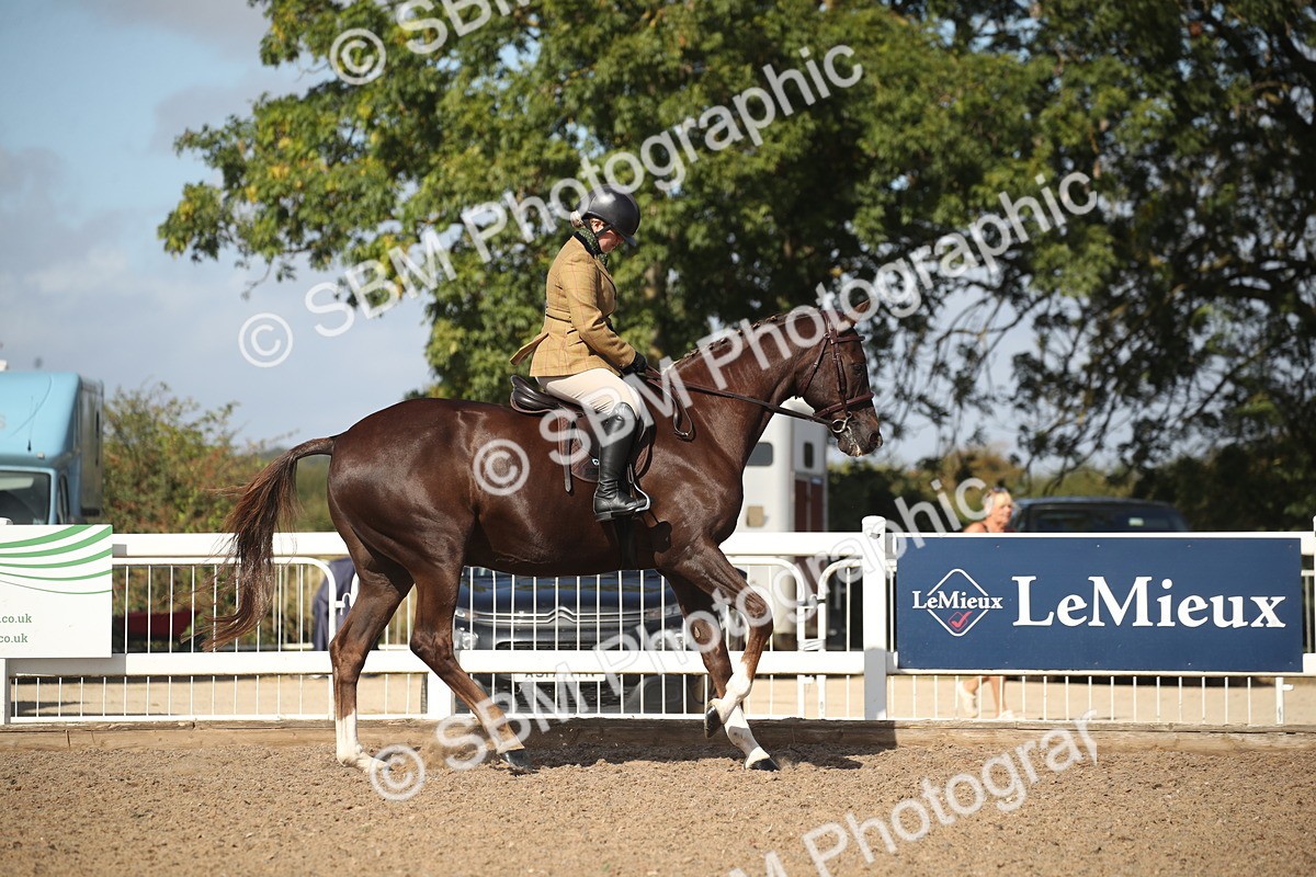 SBM_22879 - Class 602 - 2026 Area - Ridden Veteran